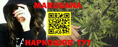 прущие грибы Краснокаменск