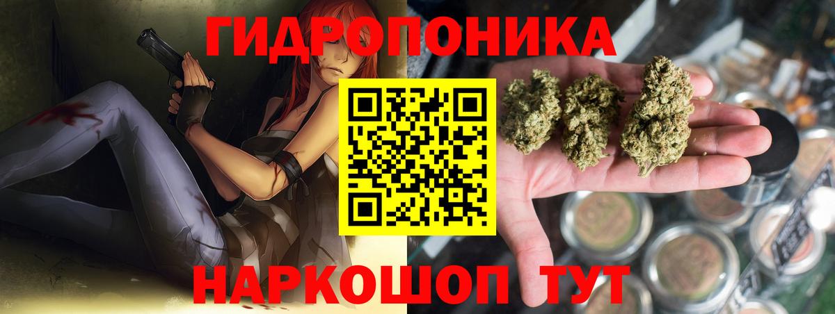Конопля индика Дубна